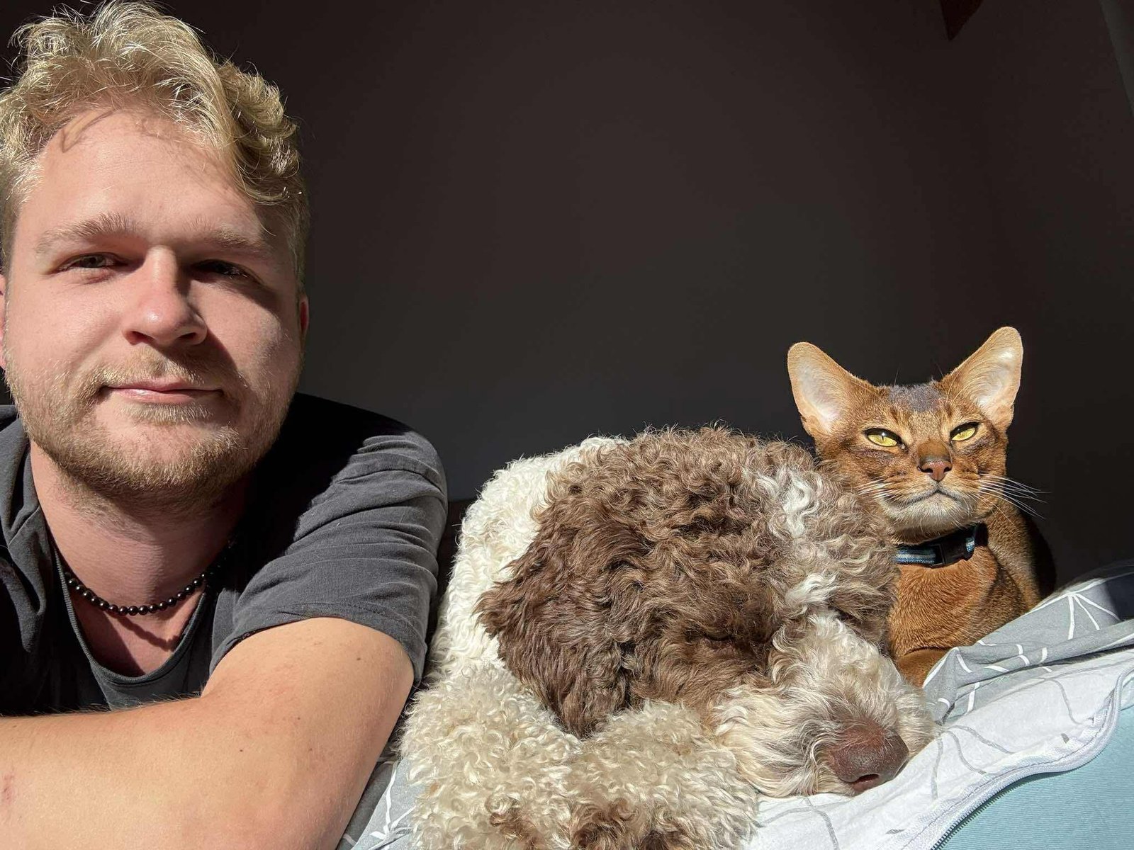 Indrės ir Dovydo vestuvių nuotrauka