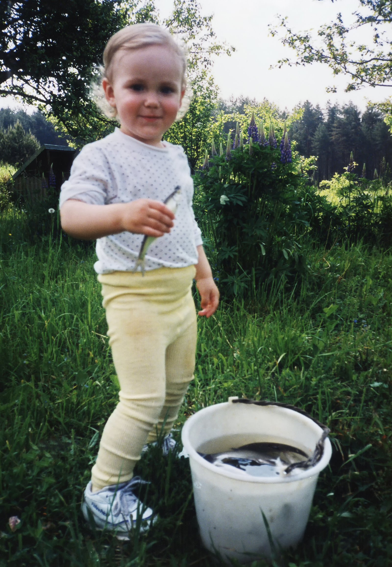 Indrės ir Dovydo vestuvių nuotrauka